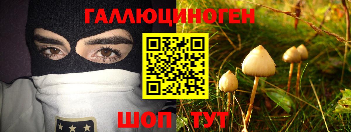 Галлюциногенные грибы Psilocybine cubensis  Вход с VPN  Бердск 