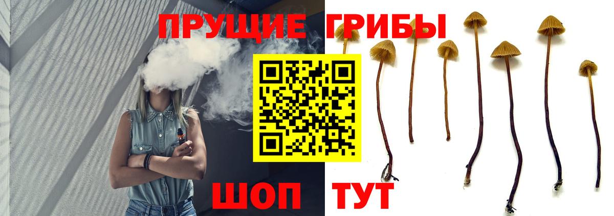 Псилоцибиновые грибы GOLDEN TEACHER Бердск